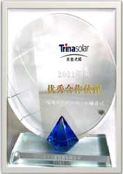 Excellent Partner of Trina