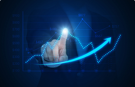 Improve systems, standardize processes, and strictly fulfill the obligation of information disclosure 